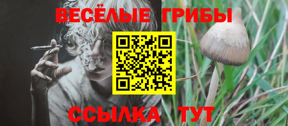 Псилоцибиновые грибы ЛСД  Вход с VPN  Казань  наркотики  Псилоцибиновые грибы Cubensis 